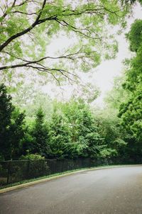 Road amidst trees in forest against sky