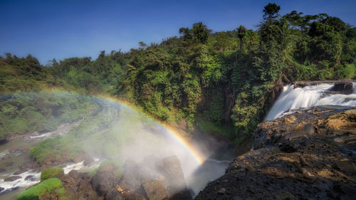 Scenic view of waterfall in forest