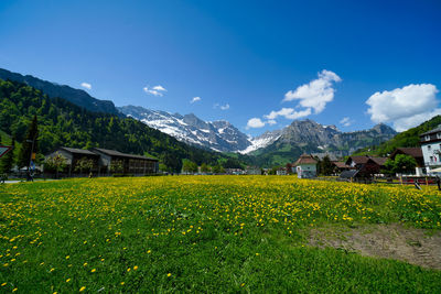 Scenic view of field by houses against sky