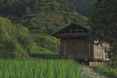 Scenic view of cottage