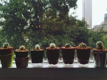 Close-up of potted plants on field