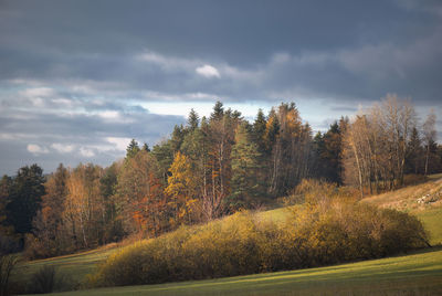 Road amidst trees against sky