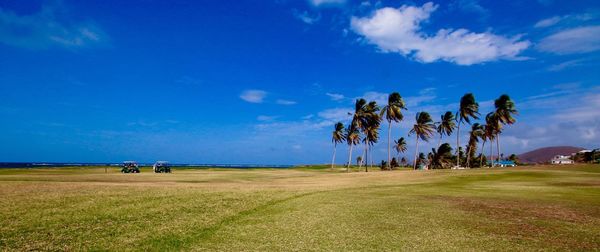 Scenic view of agricultural field against blue sky