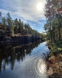 Scenic view of lake in forest against sky