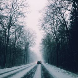 Road passing through bare trees