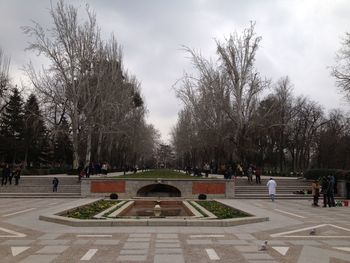 Trees in park against sky