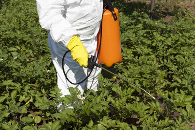 Midsection of farmer spraying pesticide on crop