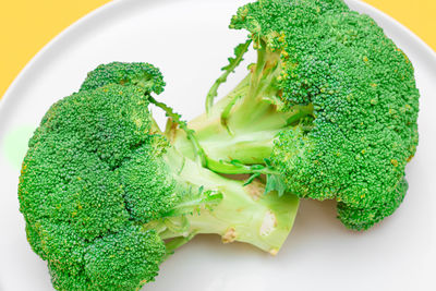 Close-up of broccoli in plate