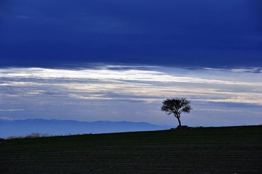 sky, tranquility, tranquil scene, tree, scenics, landscape, beauty in nature, cloud - sky, nature, silhouette, cloud, blue, non-urban scene, cloudy, outdoors, idyllic, mountain, no people, horizon over land, remote