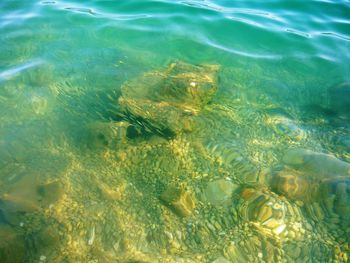 High angle view of water in sea