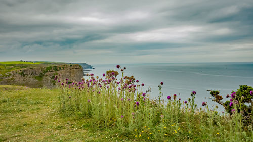 Scenic view of sea against cloudy sky