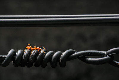 Close-up of spiral metal