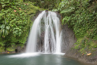 Scenic view of waterfall in forest