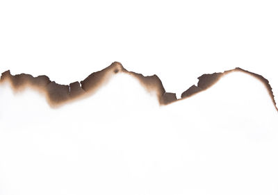Close-up of white paper against clear sky