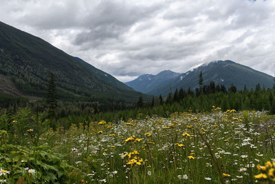 Scenic view of mountains against sky