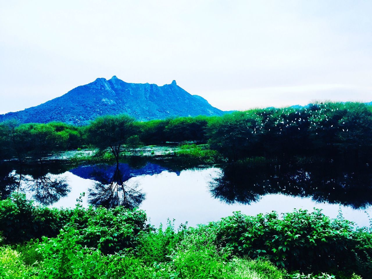 nature, tranquil scene, scenics, water, lake, beauty in nature, tranquility, reflection, mountain, outdoors, tree, landscape, no people, idyllic, day, grass, sky, green color, forest, growth, wilderness area