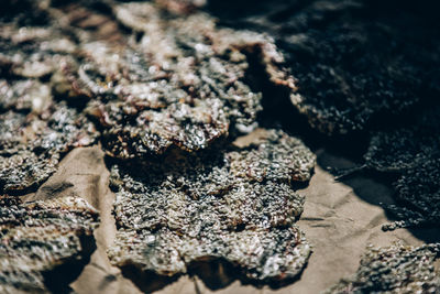Full frame shot of dried fallen on rock