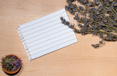 High angle view of an animal on table