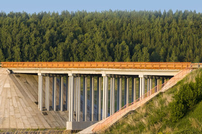 View of dam and trees in forest