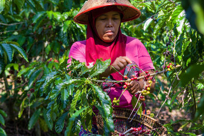 Indonesian coffee farmer