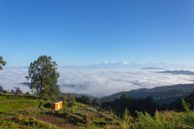 Scenic view of field against clear blue sky