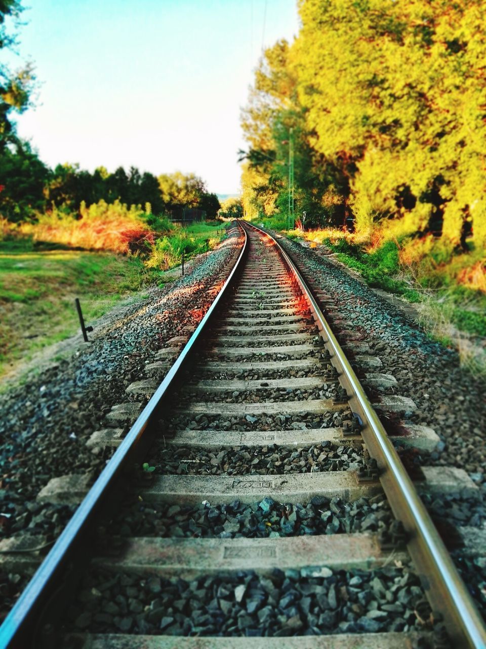 RAILWAY TRACKS AMIDST TREES AGAINST SKY