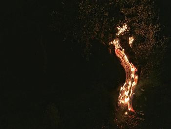 Close-up of illuminated tree at night