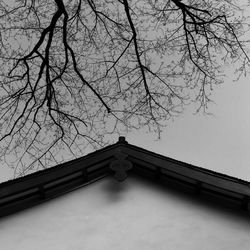 Low angle view of bare trees against sky