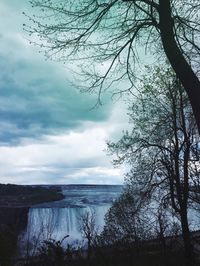 Bare trees against cloudy sky