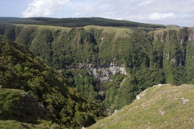 Scenic view of forest against sky