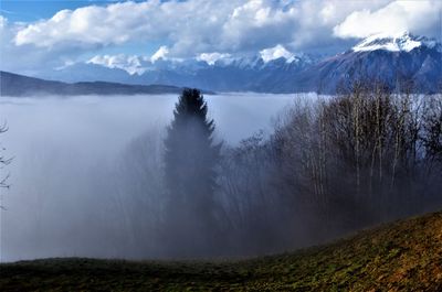 Scenic view of landscape against sky