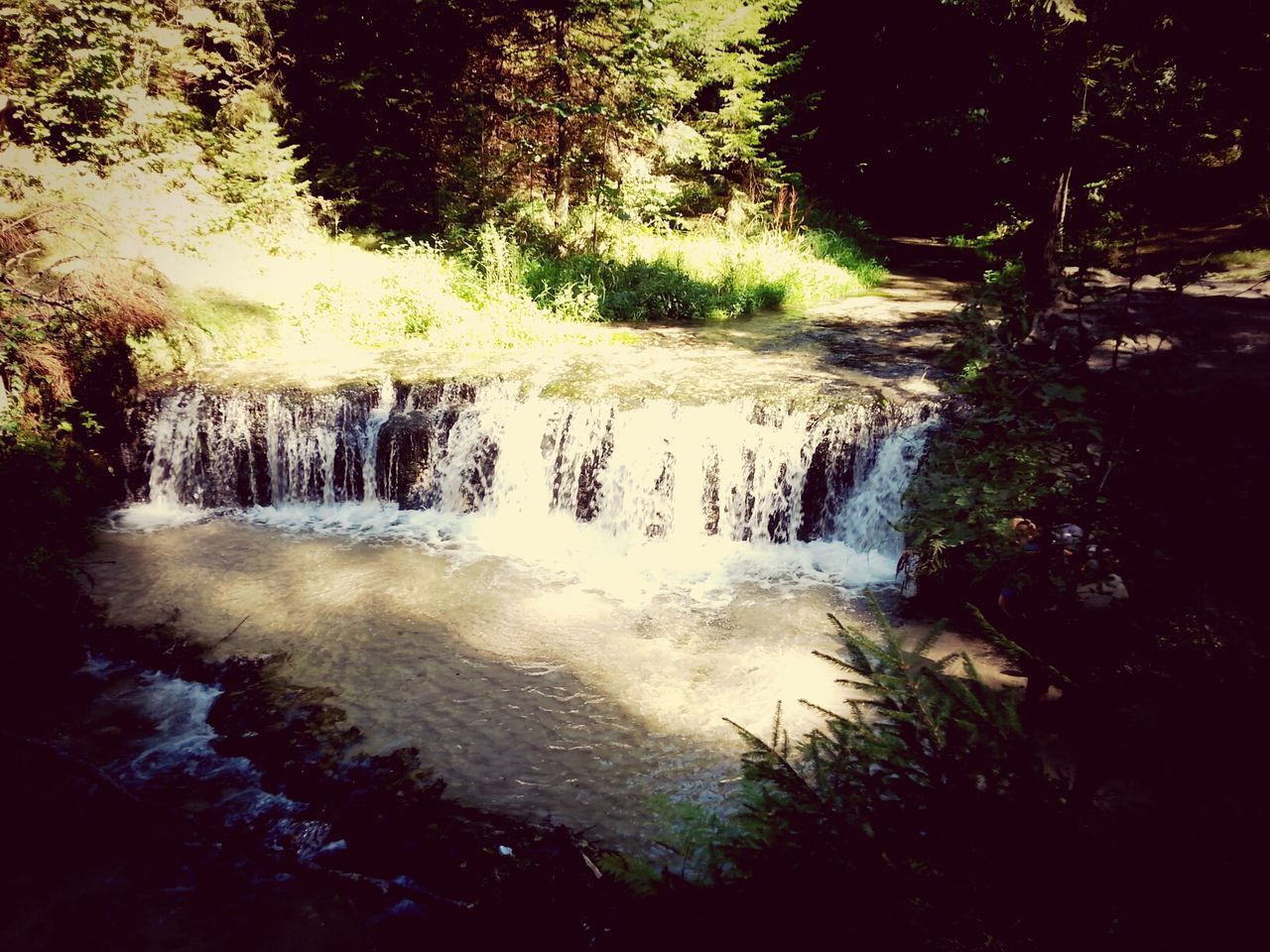 water, motion, flowing water, tree, waterfall, long exposure, forest, flowing, nature, stream, beauty in nature, scenics, blurred motion, tranquility, growth, river, rock - object, outdoors, no people, tranquil scene