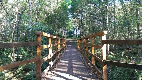 Footbridge in forest