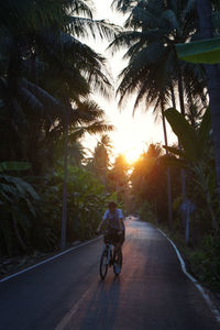 People riding bicycle on road at sunset