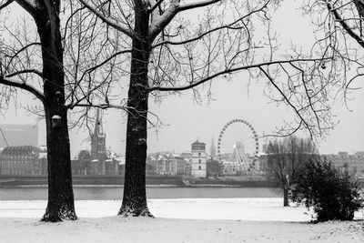 Bare trees in city during winter