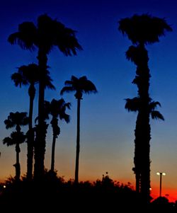 Silhouette palm trees against sky at sunset