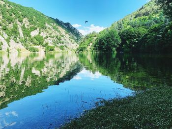 Scenic view of lake by trees against sky