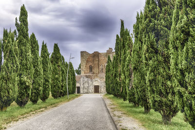 Road amidst trees and buildings against sky