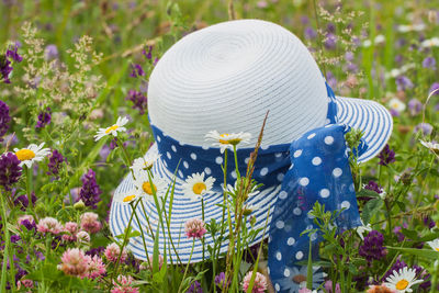 Close-up of hat on flowering plants