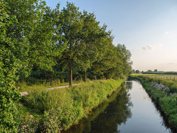 Hiking at the river aa in westphalia