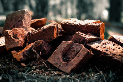 Close-up of stack of logs on field