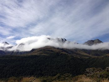 Alpine wetland. peak at new zealand. 