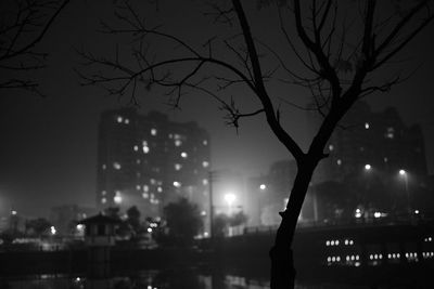 Silhouette trees and buildings against sky at night