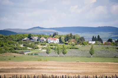 Scenic view of agricultural field against sky