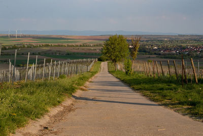 Road amidst field against sky