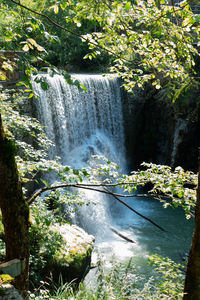 Scenic view of waterfall in forest