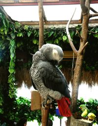 Bird perching on branch