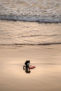 Rear view of man surfing on shore at beach