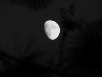 Low angle view of moon against sky at night