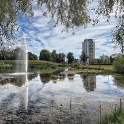 Reflection of trees on water in city against sky